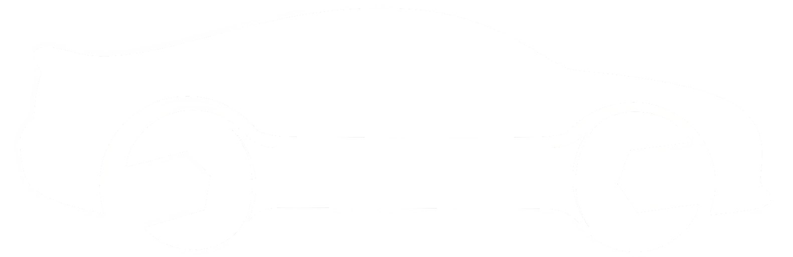 DIY Auto Pitstop Logo